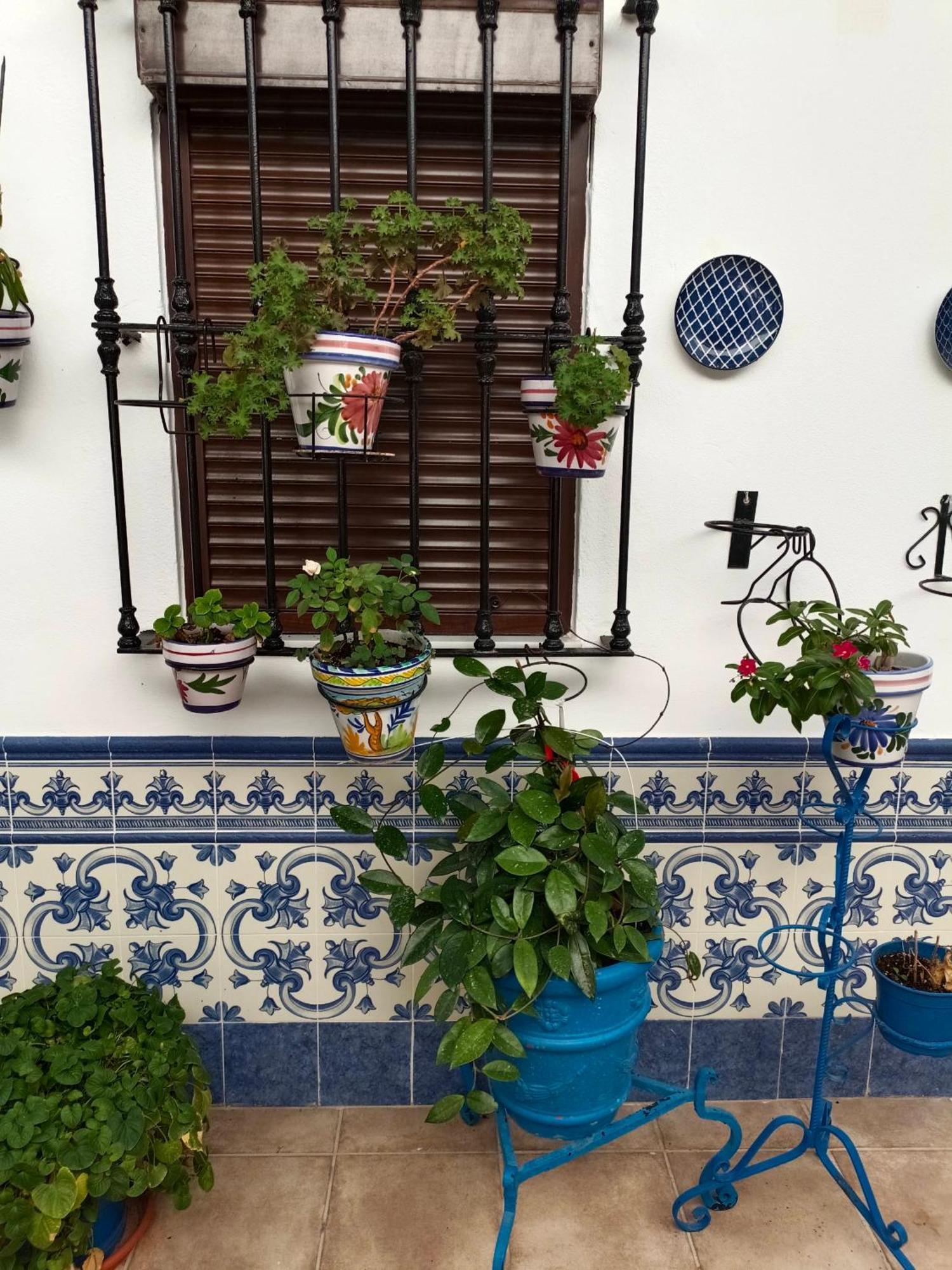 Casa Rural Patio Rociero El Rocío Dış mekan fotoğraf